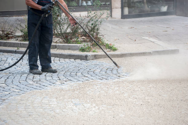 Best Driveway Pressure Washing  in Kendallville, IN